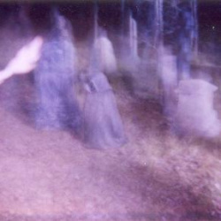 2000